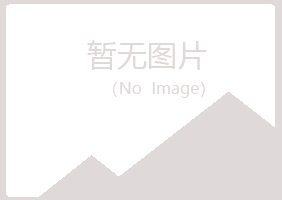 大新县残缺化学有限公司